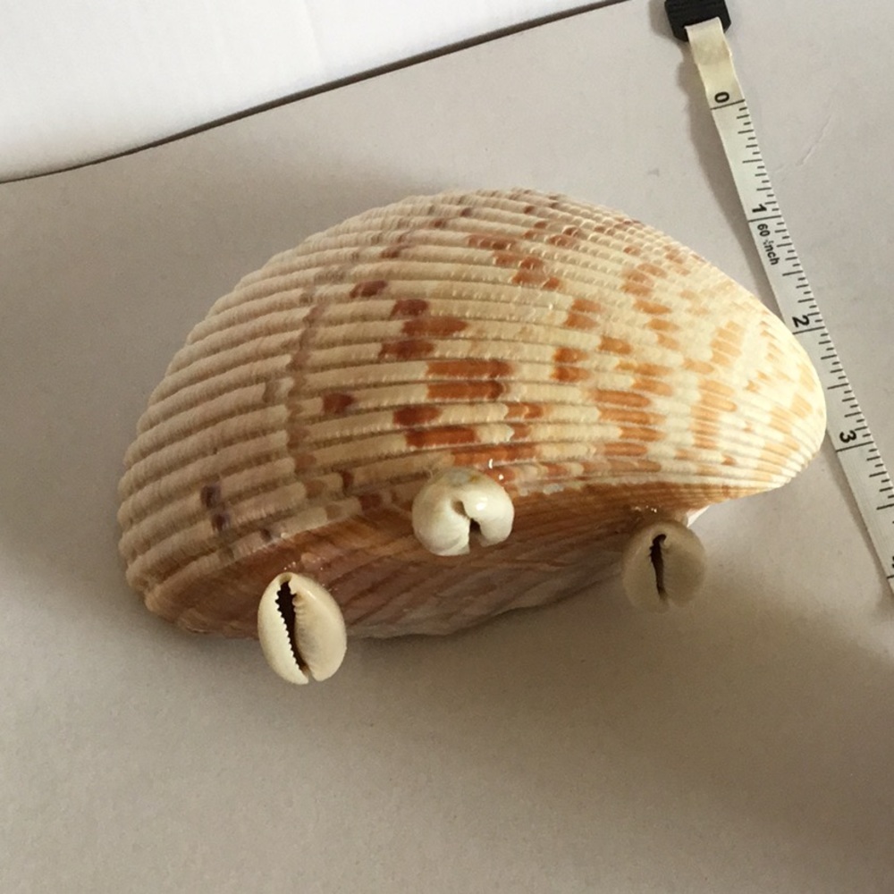 NWOB Seashell Native set - Picture 7 of 9